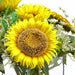 15"Hx18"W Sunflower & Queen Anne's Lace Silk Flower Arrangement -Yellow - WF1442-YE