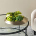 6"Hx19"W Hydrangea, Ranunculus & Sedum Silk Flower Arrangement w/Metal Vase -Green/Lime - WF1862-GR/LM