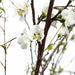 48" Quince Blossom & Twig Silk Flower Arrangement -Cream - WF3653-CR