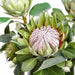 21" Artificial Protea, Rosemary & Wolly Flower Arrangement w/Glass Vase -Green - WF9282-GR