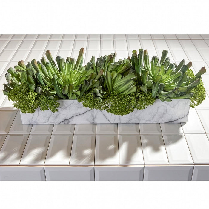 9"Hx27.5" Artificial Echeveria Succulent Plant & Skimmia w/Planter -Green - WF9411-GR