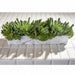 9"Hx27.5" Artificial Echeveria Succulent Plant & Skimmia w/Planter -Green - WF9411-GR