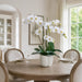 32"Hx25.5"W Phalaenopsis Orchid Silk Flower Arrangement w/Coral Vase -White/Green - WF9594-WH/GR