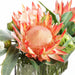13"Hx24"W Protea & Eucalyptus Silk Flower Arrangement -Orange/Green - WF9812-OR/GR