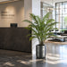 45"Hx41"W Artificial Fern Plant w/Planter -Green - WP0697-GR