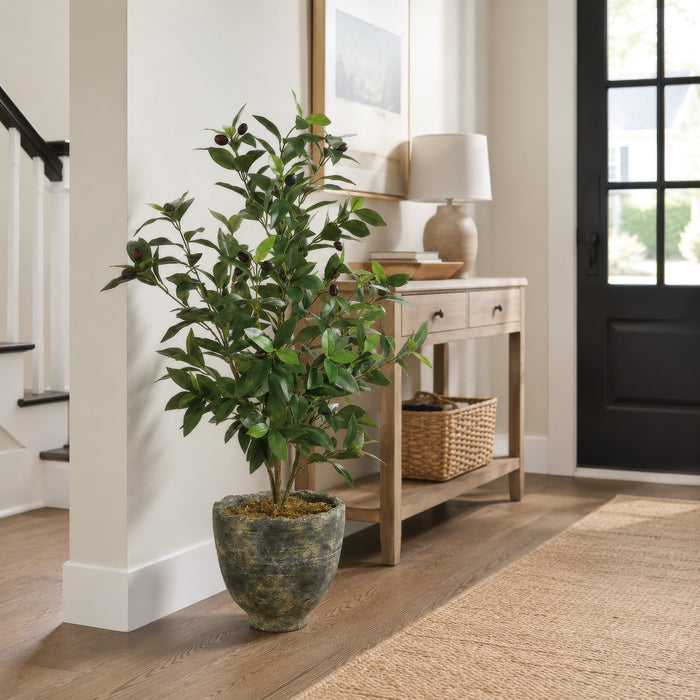 3' Olive Silk Tree w/Planter -2 Tone Green - WP7526-GR/TT