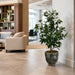 3' Olive Silk Tree w/Planter -2 Tone Green - WP7526-GR/TT
