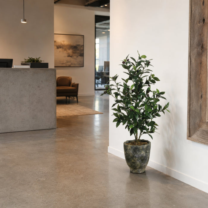 3' Olive Silk Tree w/Planter -2 Tone Green - WP7526-GR/TT
