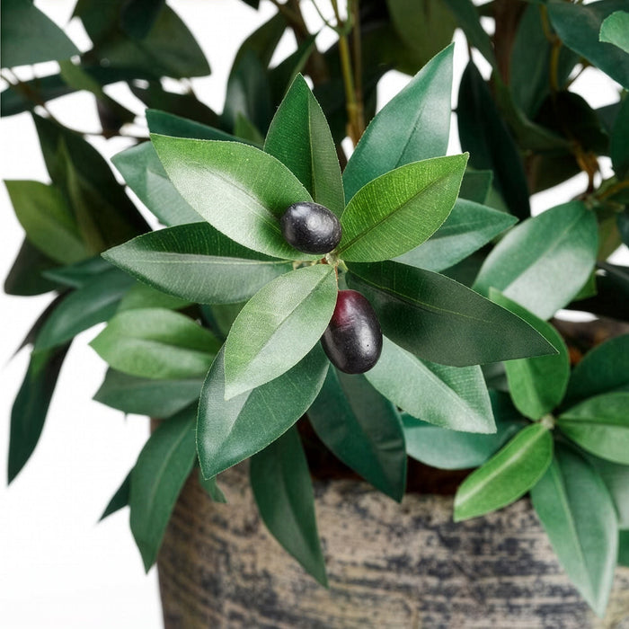 3' Olive Silk Tree w/Planter -2 Tone Green - WP7526-GR/TT