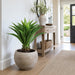 34"Hx21"W Agave Attenuata Artificial Plant w/Fiber Clay Planter -Green - WP7940-GR