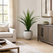 4'5" Dracaena Silk Plant w/Fiber Cement Planter -Green - WP7941-GR