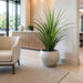 4'5" Dracaena Silk Plant w/Fiber Cement Planter -Green - WP7941-GR