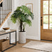 5'11" EVA Plume Split Leaf Artificial Plant w/Fiber Cement Planter -Green - WP7947-GR