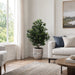 3'9" Olive Silk Tree w/Cement Planter -Green - WP7966-GR