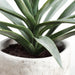 31"Hx27"W Yucca Silk Plant w/Cement Planter -Green - WP7968-GR
