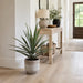 31"Hx27"W Yucca Silk Plant w/Cement Planter -Green - WP7968-GR