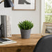 9"Hx9"W Aeonium Artificial Plant w/Cement Pot -Green - WP8144-GR