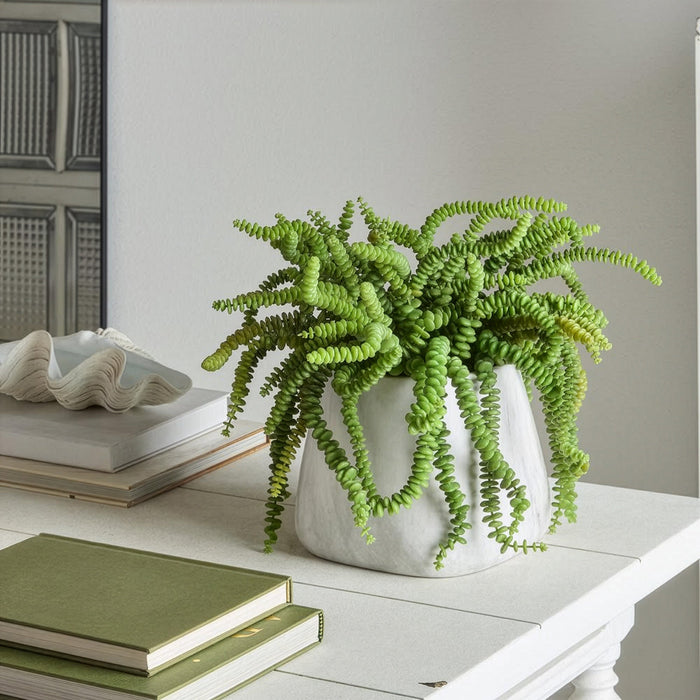 17"Hx22"W Money Succulent Artificial Plant w/Terra Cotta Pot -Green - WP8146-GR