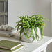 17"Hx22"W Money Succulent Artificial Plant w/Terra Cotta Pot -Green - WP8146-GR