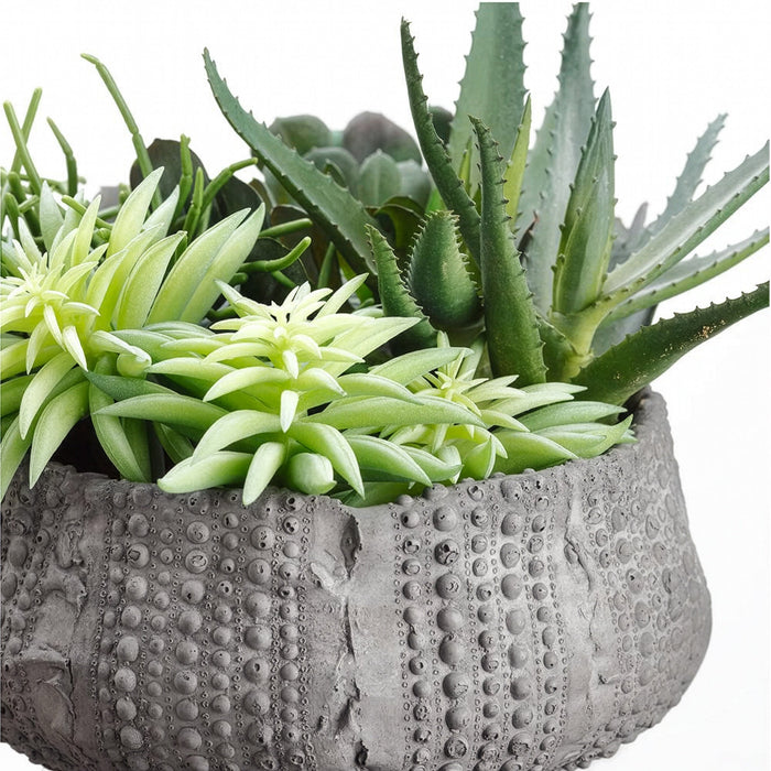 8"Hx12"W Succulent Garden Artificial Plant w/Clay Pot -Green - WP8150-GR