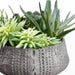 8"Hx12"W Succulent Garden Artificial Plant w/Clay Pot -Green - WP8150-GR