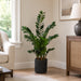 4' Zanzibar Gem Zamioculcas Succulent Artificial Plant w/Cement Pot -Green - WP8156-GR