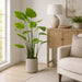 4'7"Hx26"W Silk Banana Leaf Palm Tree w/Cement Planter -Green - WP8290-GR