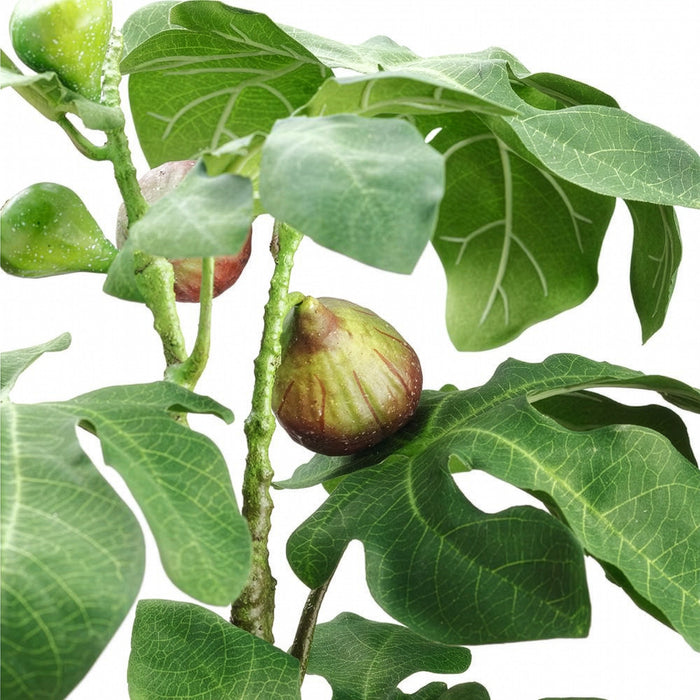 25"Hx18"W Artificial Fruiting Fig Plant w/Terra Cotta Planter -Green - WP9914-GR