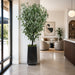 8'9" Eucalyptus Leaf Silk Tree w/Planter -Green - WT0677-GR