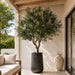 9'10"Hx60"W Olive Leaf Artificial Tree w/Aluminum Planter -Green - WT0710-GR