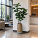 6'8"Hx32"W Fiddle Leaf Fig Artificial Tree w/Cement Planter -Green - WT0712-GR