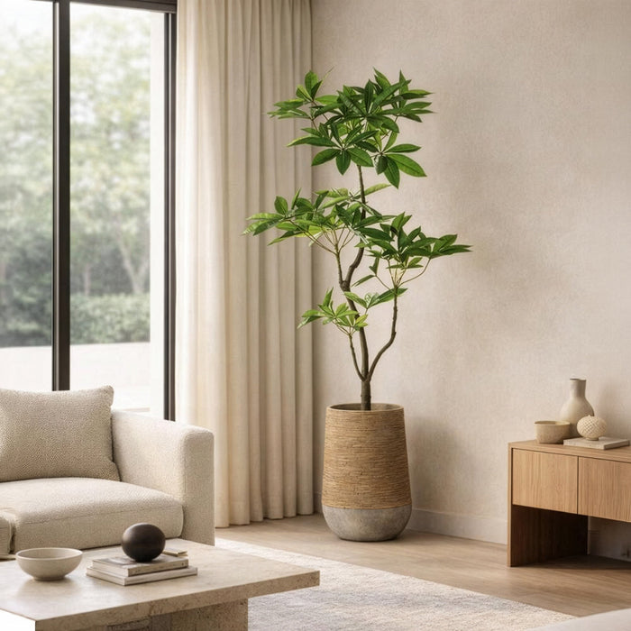6'4"Hx36"W Pachira Leaf Artificial Tree w/Cement Planter -Green - WT0713-GR