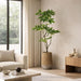6'4"Hx36"W Pachira Leaf Artificial Tree w/Cement Planter -Green - WT0713-GR