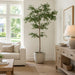 8'6"Hx48"W Shady Lady Olive Silk Tree w/Cement Planter -Green - WT0716-GR