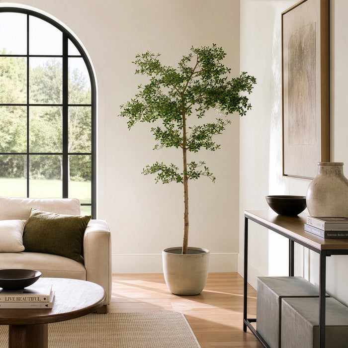 8'6"Hx48"W Shady Lady Olive Silk Tree w/Cement Planter -Green - WT0716-GR