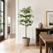 6'Hx36"W Shady Lady Olive Silk Tree w/Cement Planter -Green - WT0718-GR