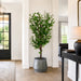 6'6"Hx36"W Silk Cotinus Tree w/Metal Pot -Green - WT0723-GR