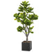 6' EVA Fiddle Leaf Fig Artificial Tree w/Container -Green - WT4513-