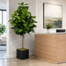 6'6" Rubber Leaf Silk Tree w/Bamboo Container -Green - WT4727-