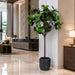 8'6" Fiddle Leaf Fig Silk Tree w/Fiber Clay Planter -Green - WT4919-GR