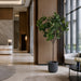 8'6" Fiddle Leaf Fig Silk Tree w/Fiber Clay Planter -Green - WT4919-GR