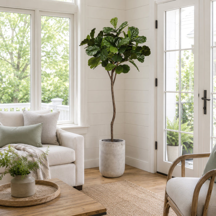7' Fiddle Leaf Fig Silk Tree w/Fiber Cement Planter -Green - WT4920-GR