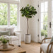 7' Fiddle Leaf Fig Silk Tree w/Fiber Cement Planter -Green - WT4920-GR