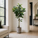 5'6" Fiddle Leaf Fig Silk Tree w/Fiber Cement Planter -Green - WT4921-GR