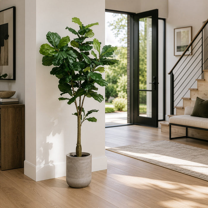 5'6" Fiddle Leaf Fig Silk Tree w/Fiber Cement Planter -Green - WT4921-GR