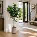 5'6" Fiddle Leaf Fig Silk Tree w/Fiber Cement Planter -Green - WT4921-GR
