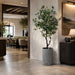 6'6" EVA Ficus Artificial Tree w/Cement Planter -Green - WT4923-GR