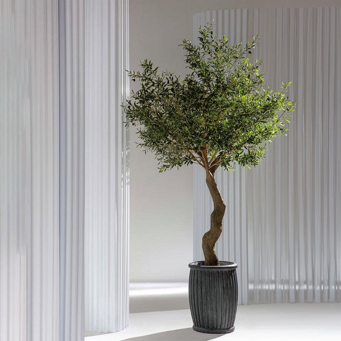 10' Olive Silk Tree w/Fiber Cement Planter -Green - WT4950-GR