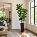 7'6" Fiddle Leaf Fig Silk Tree w/Bamboo & Rope Container -Green - WT4972-GR