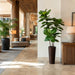 7'6" Fiddle Leaf Fig Silk Tree w/Bamboo & Rope Container -Green - WT4972-GR